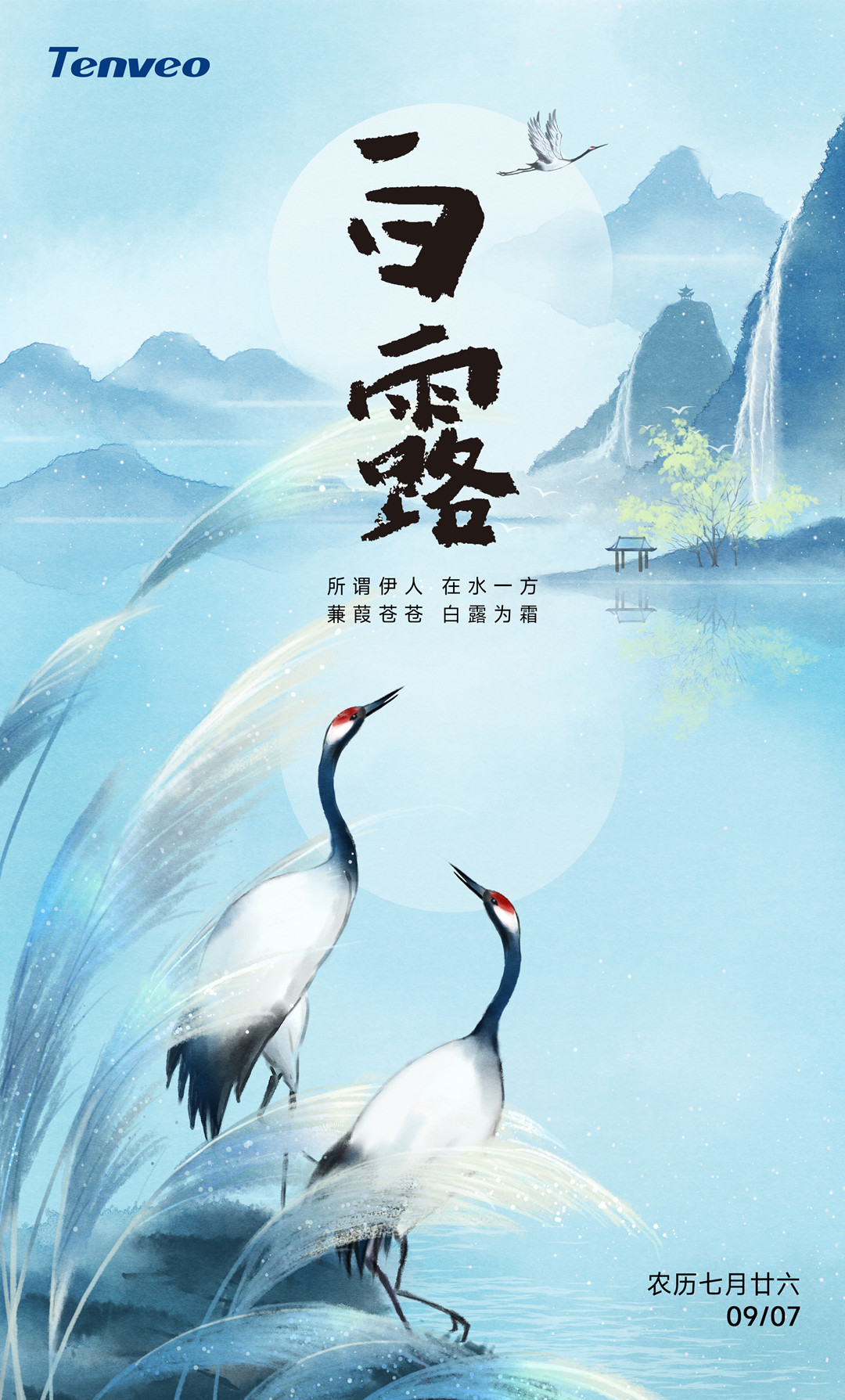 白露(1).jpg